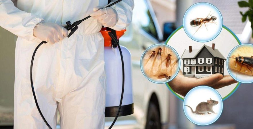 Yahyalı Böcek İlaçlama