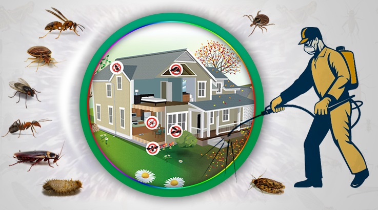 Yahyalı Böcek İlaçlama