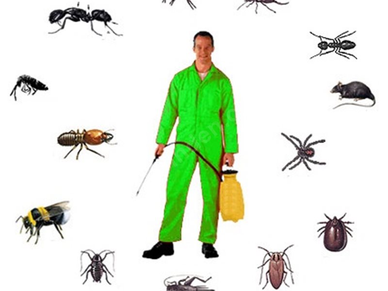 Yahyalı Böcek İlaçlama